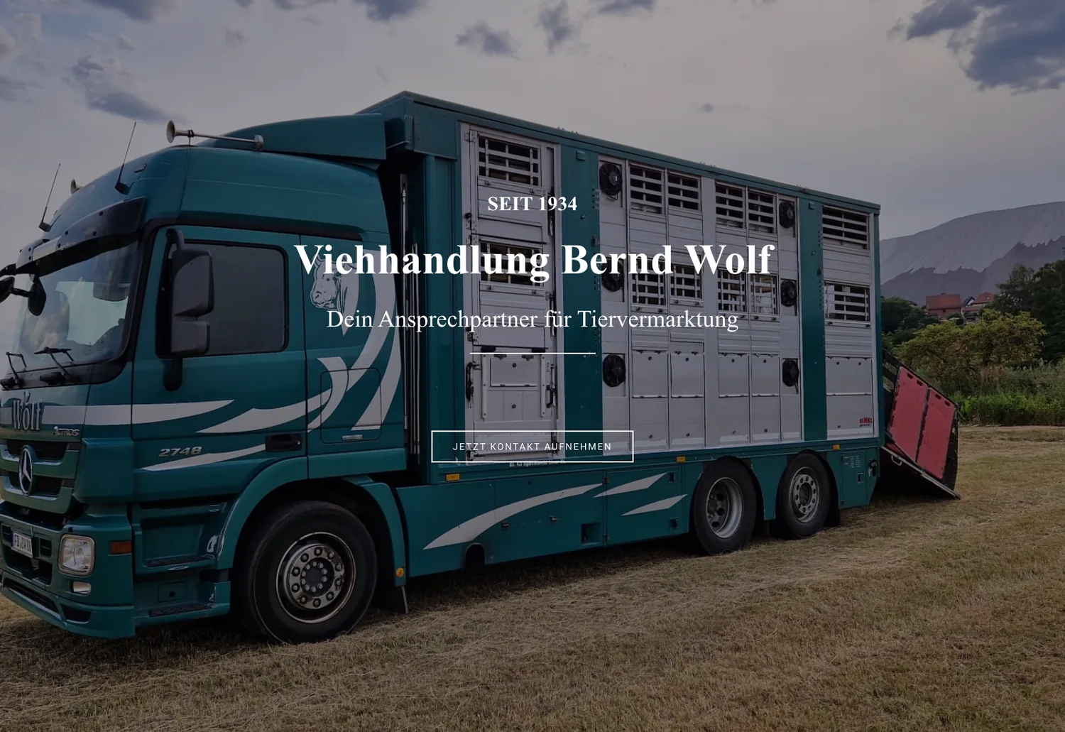 Website der Viehhandlung Bernd Wolf mit Viehtransporter im Hero